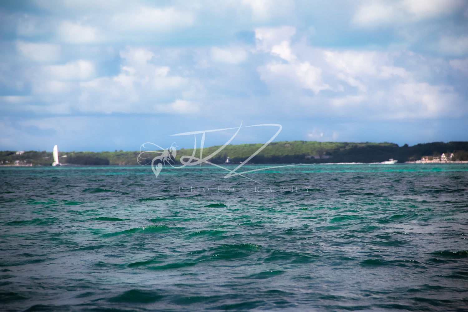 A Collection of Landscapes Beyond Time