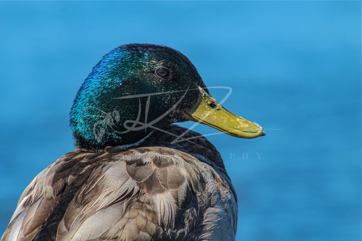 Emerald Majesty