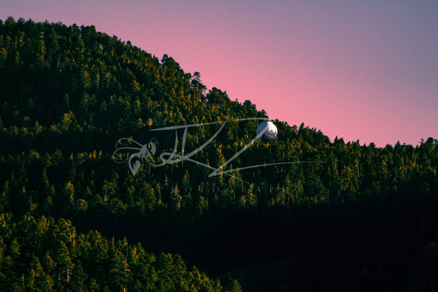 Amidst the Pines, Beyond the Horizon
