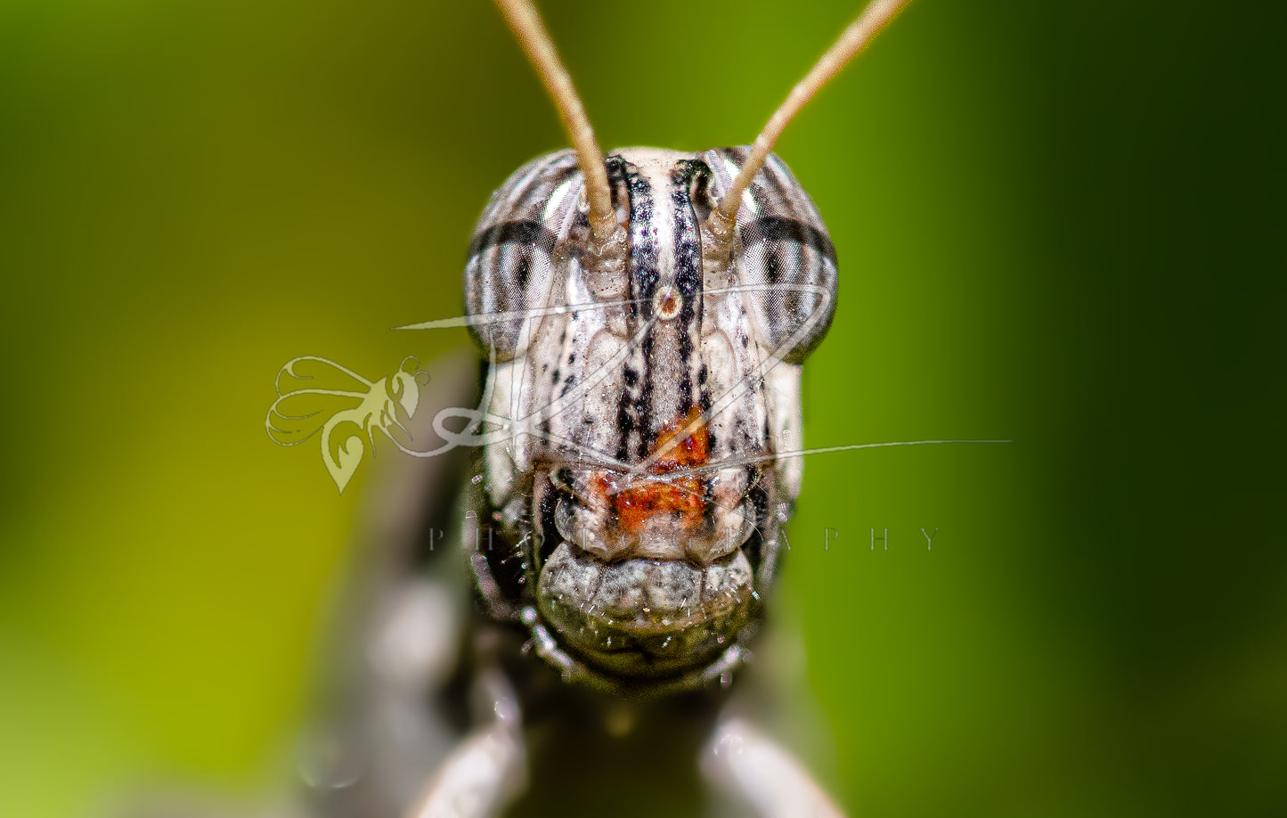 Up Close & Personal (Digital Download)